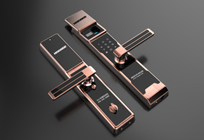 皇家金盾X6指纹锁演示&安装视频