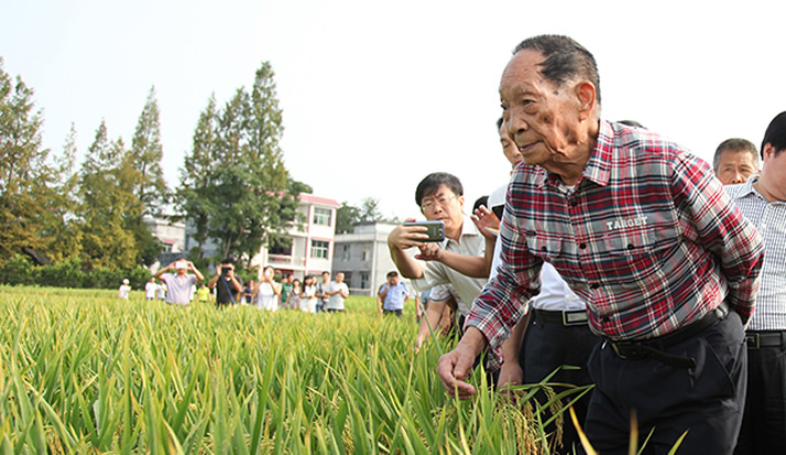90岁的袁隆平还在努力 我们也要坚持做最好的指纹锁